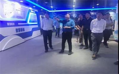 重慶市大渡口區常務副區長蒞臨泰豪公司交流調研